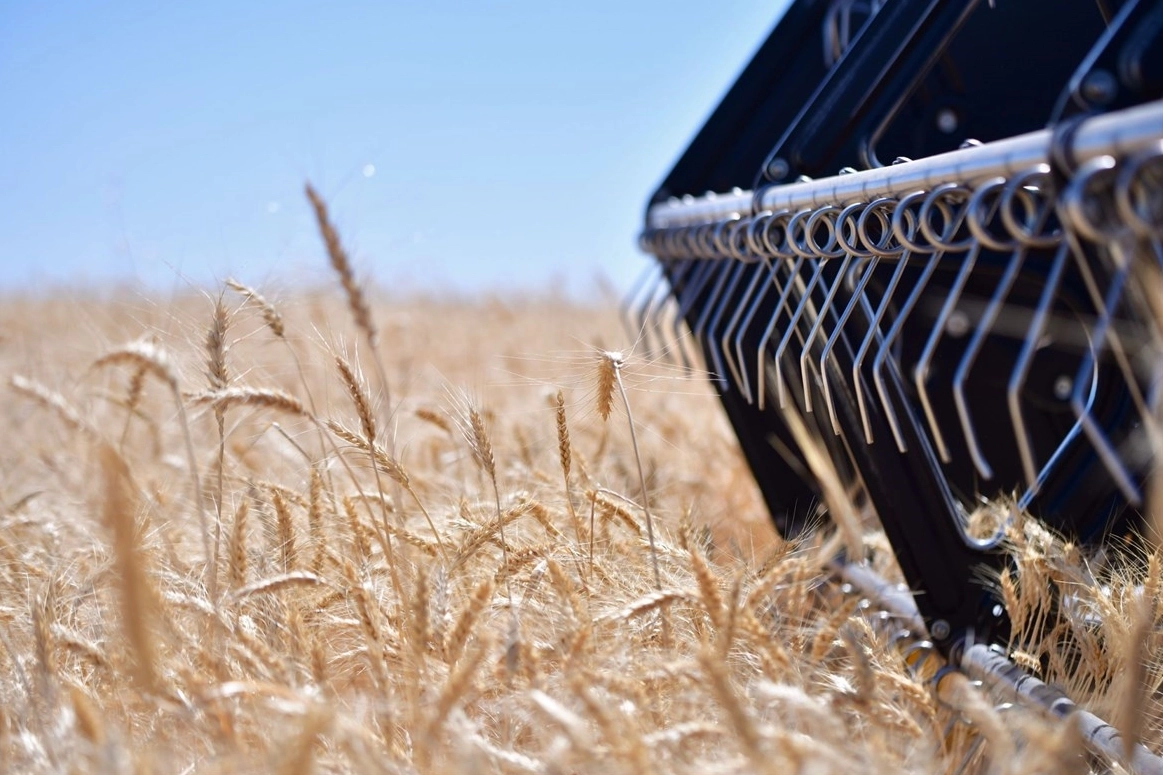 CHP'li Milletvekili Ün'den TMO’nun fiyatlarına sert tepki