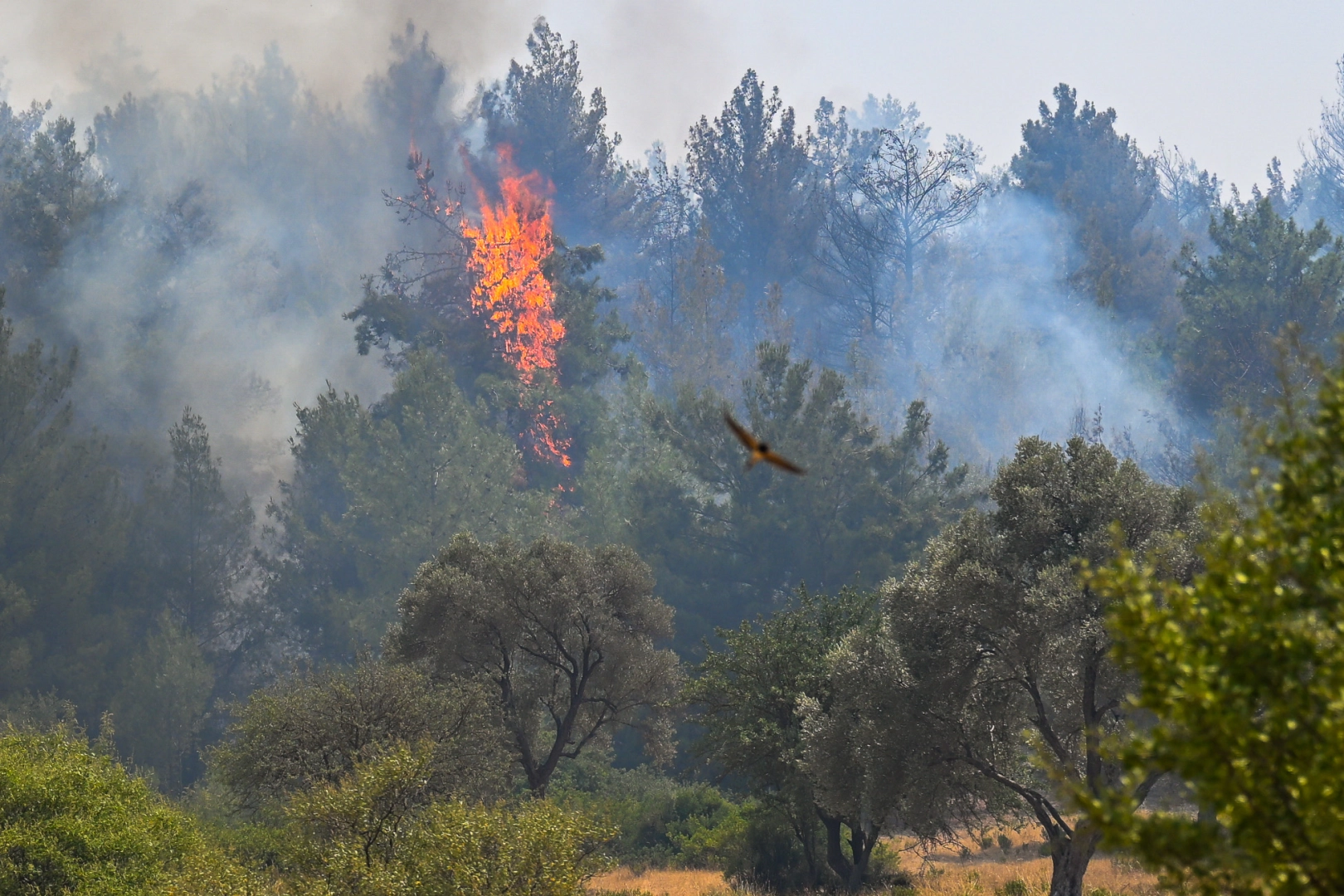 İzmir Buca için Bornova Belediyesi seferber oldu